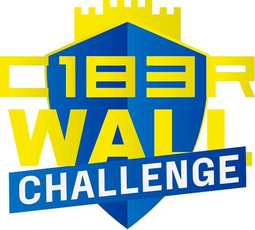 Logo de C1b3rWall challenge